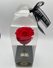 Load image into Gallery viewer, Forever Rose
