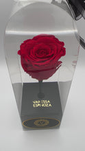 Load and play video in Gallery viewer, Forever Rose
