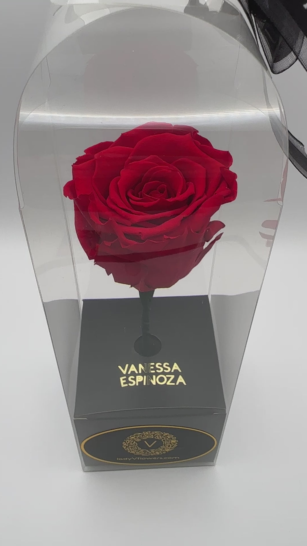 Forever Rose